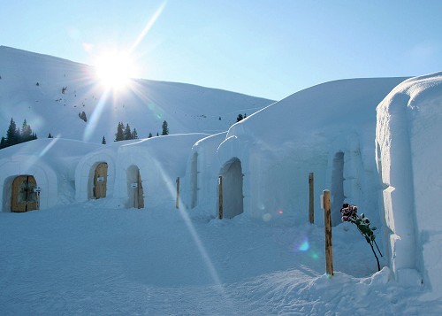 Ice Sculpting Festival